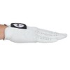 TITLEIST Golf Glove Professional Glove TG73LHWT-24 LHWT LH White Right