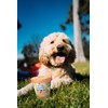 Pooch Creamery Ice Cream Mix for Dogs - Peanut Butter