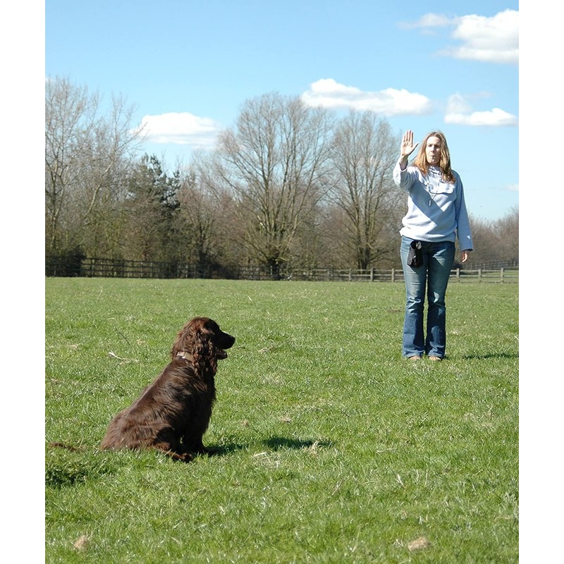 COMPANY OF ANIMALS High Frequency Whistle Ideal for Obedience and