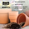 LGM Cactus & Succulent Palm & Citrus Mix, Ideal Potting