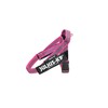Julius-K9 IDC Belt Harness, safety pink