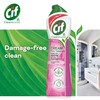 Cif Cif Pink Tuberose Cream Cleaner, 500 ml, (Pack of