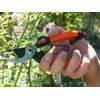 Garten Primus 01020 Secateurs, Rose Shears, Vine Shears, Women's Shears,