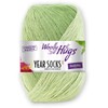 Woolly Hugs Year Socks Colour 05 May, 100g Sock Yarn