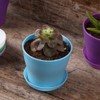 MUETKNYE 10 Pcs Plastic Planters Indoor Pots, Mini Flower Seedlings