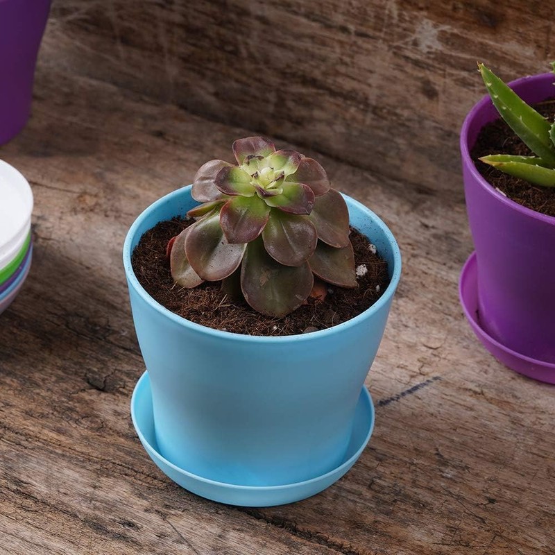 MUETKNYE 10 Pcs Plastic Planters Indoor Pots, Mini Flower Seedlings
