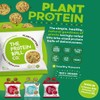 PROTEIN BALL CO Peanut Butter Protein + Vitamin Balls
