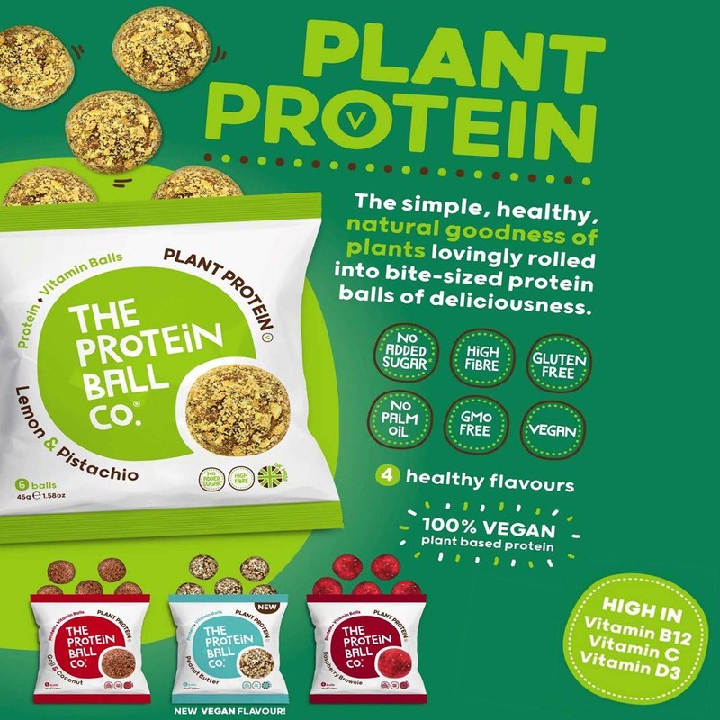 PROTEIN BALL CO Peanut Butter Protein + Vitamin Balls