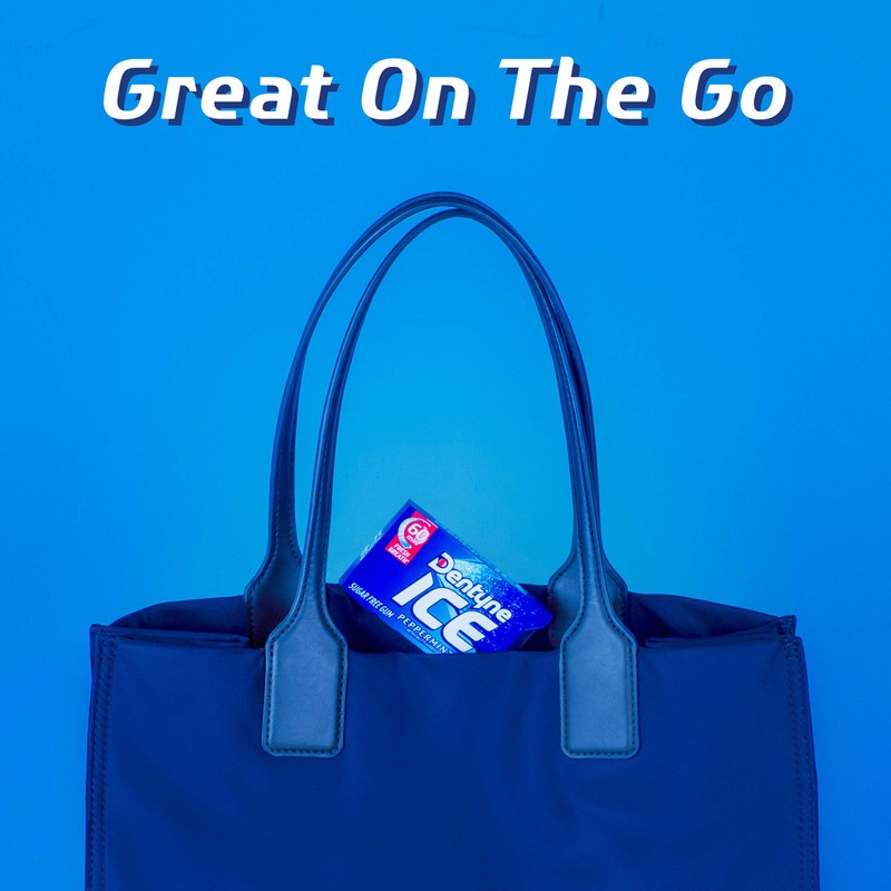 Dentyne Ice Peppermint Sugar Free Gum, 3 Packs of 16