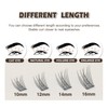 EASITENSION Lash Clusters DIY Eyelash Extension,80 Clusters Lashes 10mm 12mm