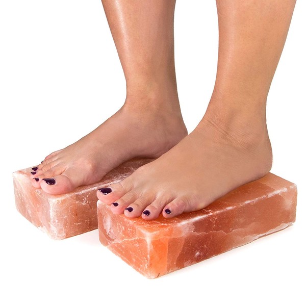 Set of 6-4"x8"x2" Himalayan Salt Bricks Exclusively By the Black