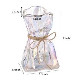Glass Vase,Irregular Shaped Vase for Flower, Modern Minimalism Fashionable Vase,Home Bedroom Kitchen Living Room Office Wedding Holiday Decor Vase