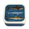 Sharks Reusable Snack Boxes (Set of 3)