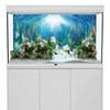 AWERT Vinyl 72x18 inches Underwater World Aquarium Background Aquatic Plants