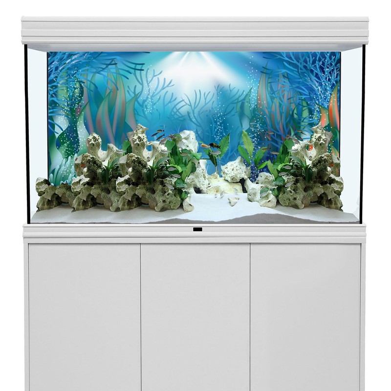 AWERT Vinyl 72x18 inches Underwater World Aquarium Background Aquatic Plants