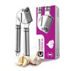 Stainless Steel Manual Garlic Press - The perfect professional gadget