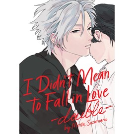 I Didn't Mean to Fall in Love -double-