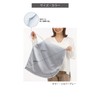 [NIJISoRa156] Electromagnetic Wave Cut Apron, Electromagnetic Wave Protection, Electromagnetic Wave