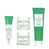 Super Greens Set nutritivo, 4 piezas 2.25 oz