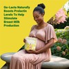 Go-Lacta 100% Organic Premium Moringa Capsules for Breastfeeding - Build