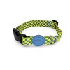 MORSO® Dog Collar, L, Yellow and Light Blue