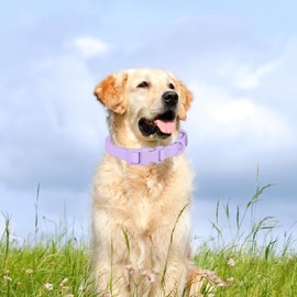 Waterproof Dog Collar Soft Rubber Dog Collar with Safety Buckle Adjustable Pet Collars for Small Medium Large Dogs