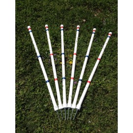 ZippydogsAgility.com Dog Agility Equipment Stick in the Ground Weave Poles w/variable length peg! - Set of 6 Poles