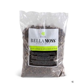 Syndicate Home & Garden/ Bella Moss collection / Soil Mix / 1qt Bag