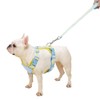 No Pull Dog Harness and Leash Set for Small Puppy