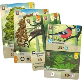 Asmodee Asmodée LKGFOM01FR Mixed Forest Board Game for 2 to 4 Players from 10 Years Old French Version