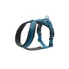 HUNTER LONDON Comfort Harness, Dark Blue