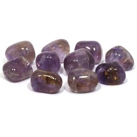 Ametrine Tumble Stone (20-25mm) - Pack of 5