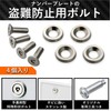 Carmate LS422 Car License Plate Security Bolt Flat 2 Silver