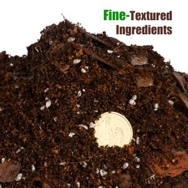 Doter Organic Money Tree Soil Mix 4qt, Indoor Plants Potting Mix for All Potted Money Tree, Grow Healthy houseplants Indoors