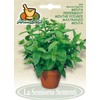 Salerno Seeds Peppermint Menta Herb 1 Gram Made in Italy Italian Non-GMO