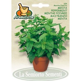 Salerno Seeds Peppermint Menta Herb 1 Gram Made in Italy Italian Non-GMO