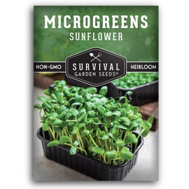 1 Pack Sunflower Microgreens Seeds for Planting and Growing - Plant Green Leafy Micro Vegetable Plants Indoors - Grow Your Own Mini Windowsill Garden - Non-GMO Heirloom - Survival Garden Seeds