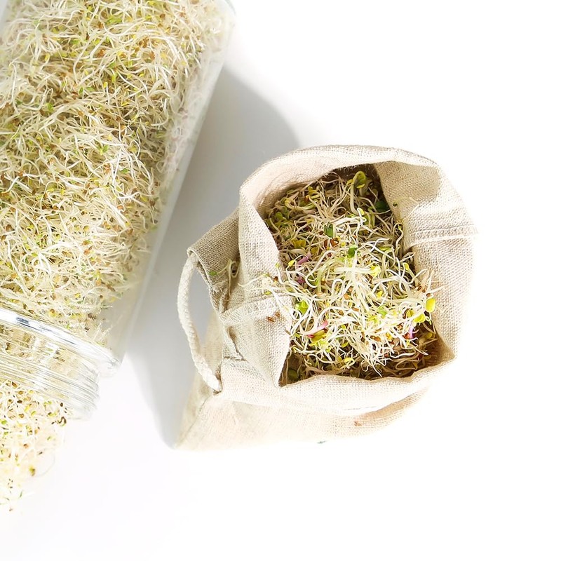 Sproutman®'s Hemp Sprout Bag - Just Dip in Water, Hang