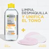 Garnier, 2 Pack Skin Active Micelar Express Aclara 400Ml +