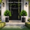 Artificial Cypress Topiary Trees for Indoor & Outdoor Décor –