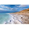 Ever Since - Dead Sea Salt Scrub - 250ml (Blossom)