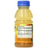 Langers Juice Cocktail, Pineapple Orange Guava, 10 Fl Oz (Pack