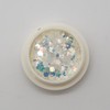 Celltem Cooperative Nail Art Nail Art Materials Spangles Nail Glitter
