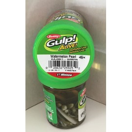 Gulp Bait 1 INCH Watermelon Pearl Minnow 2 jar Bundle Berkley gulp Alive Perch Minnows ice Fishing Bait Panfish Minnows