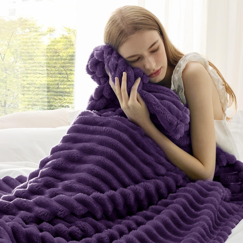 Bedsure Bedsure Purple Twin Blanket for Bed - GentleSoft Cozy