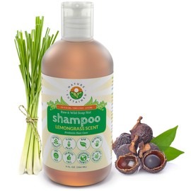 Champú orgánico de frambuesa por Nature Sustained  Champú vegano sin crueldad con plantas crudas y salvajes para piel cabelludo sensible, picante y...