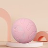 Peppy Pet Ball for Cats with Led Flash Colorful Lights
