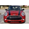 The Pixel Hut Matte Black Hood Bonnet Stripes for Mini