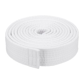PATIKIL Taekwondo Colored Ranking Belt 1.6" x9.8Ft 3 m, Polyester Martial Arts Judo Karate Belt for Coach Teaching Practice, White