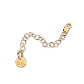 Add On | Extender Chain | Detachable Chain Extender | Make Any Necklace Bracelet Longer | Adjustable Extension Chain for Jewelry (3 Inches, 14K Gold Fill)